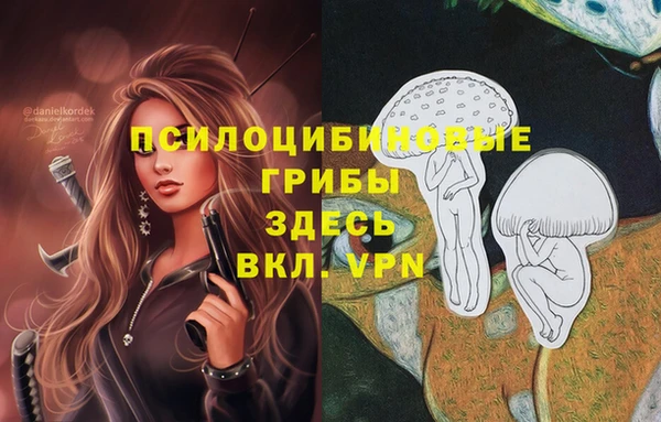 скорость mdpv Елизово