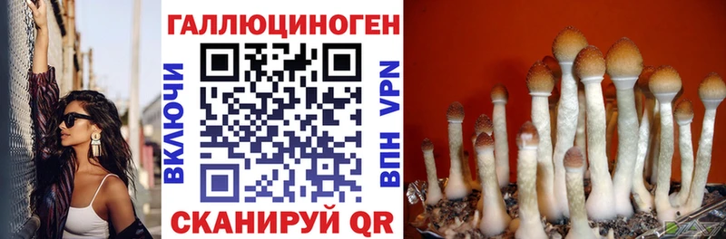 Псилоцибиновые грибы MAGIC MUSHROOMS Павловская